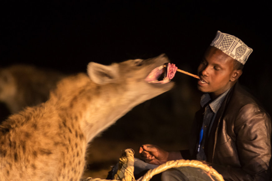 Hyänenmann in Harar